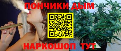 сатива Тула