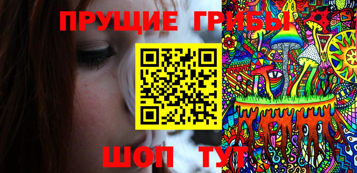 Минусинск  сколько стоит  Галлюциногенные грибы мицелий  Вход с VPN  Галлюциногенные грибы прущие грибы 