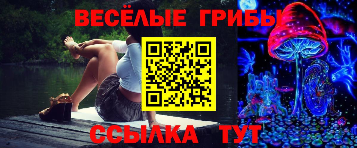 Галлюциногенные грибы Psilocybine cubensis Минусинск